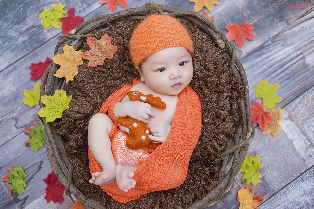 album ảnh newborn 24